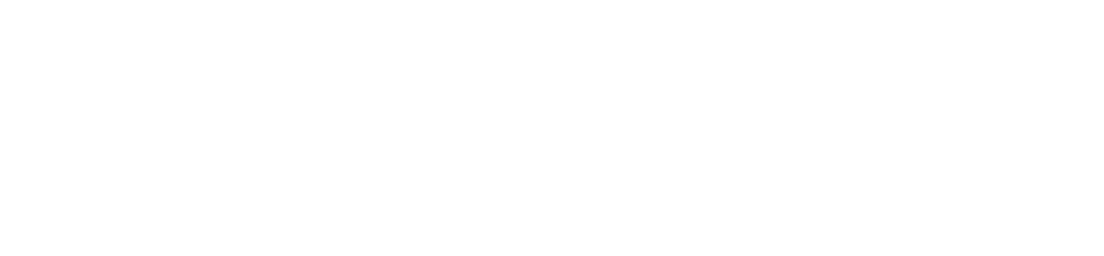 Audinate Dante